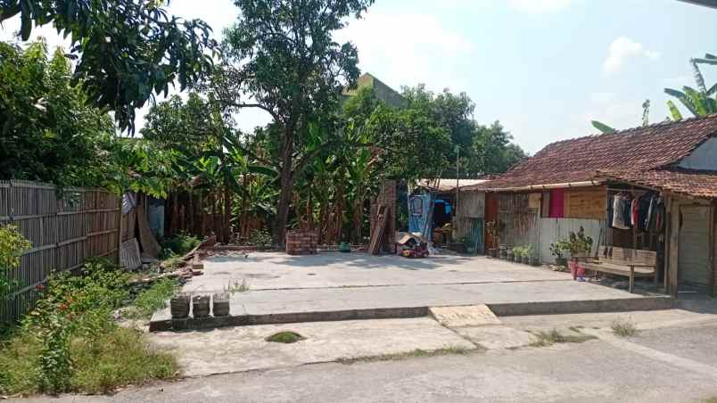 dijual tanah di mojolawaran kec gabus kab pati