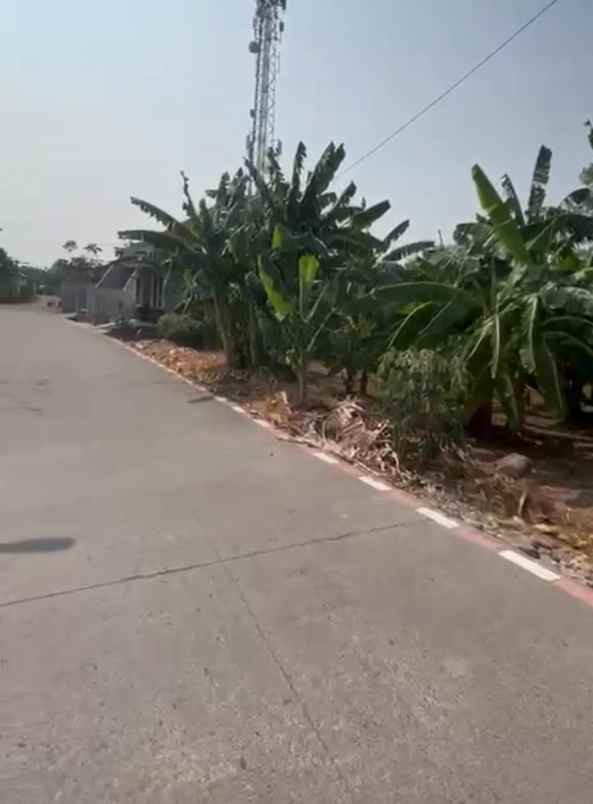dijual tanah di pedurungan semarang
