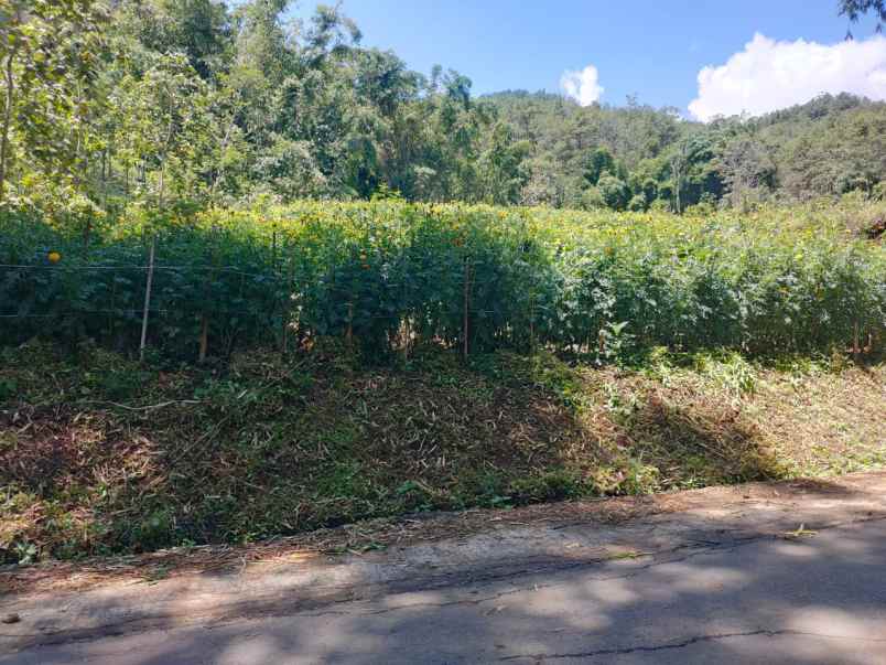 dijual tanah di pinggir jalan aspal