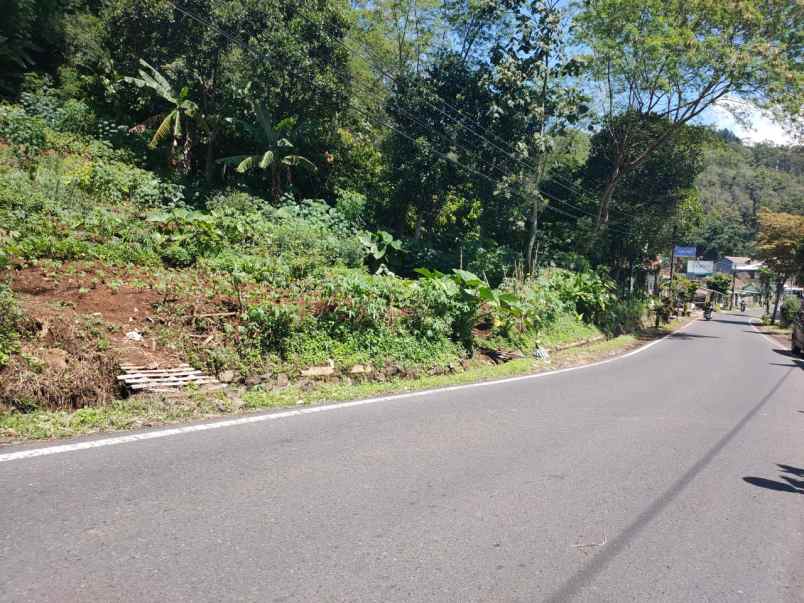 dijual tanah di pinggir jalan aspal