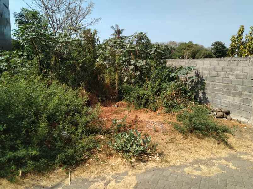 dijual tanah dijual tanah cepat di gg