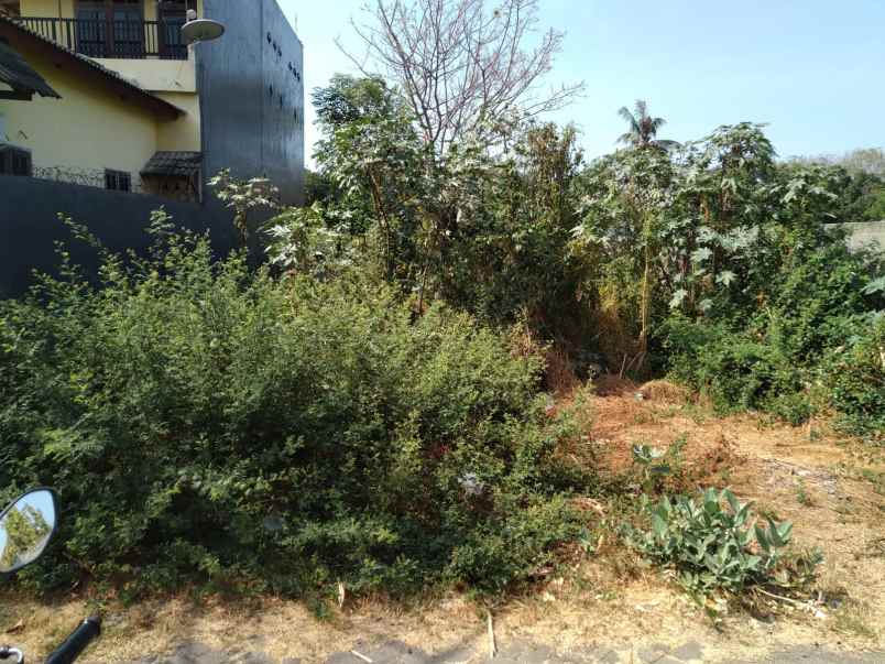 dijual tanah dijual tanah cepat di gg