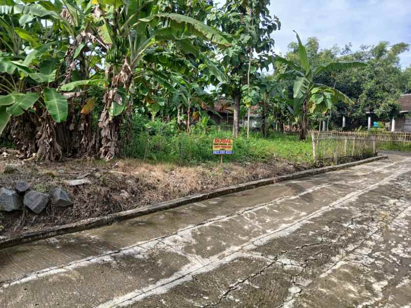 dijual tanah dijual tanah di desa
