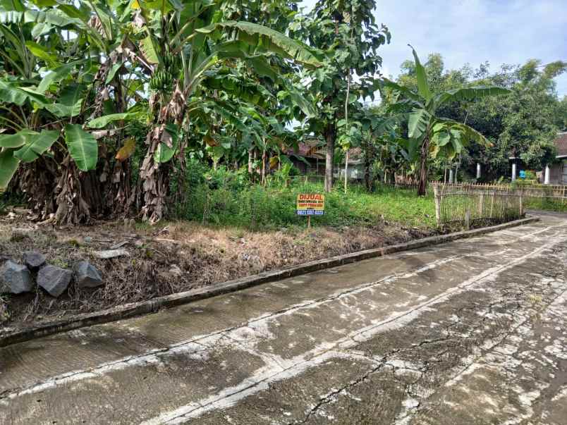dijual tanah dijual tanah di desa
