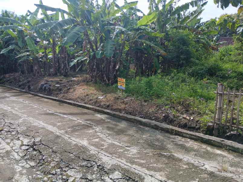 dijual tanah dijual tanah di desa