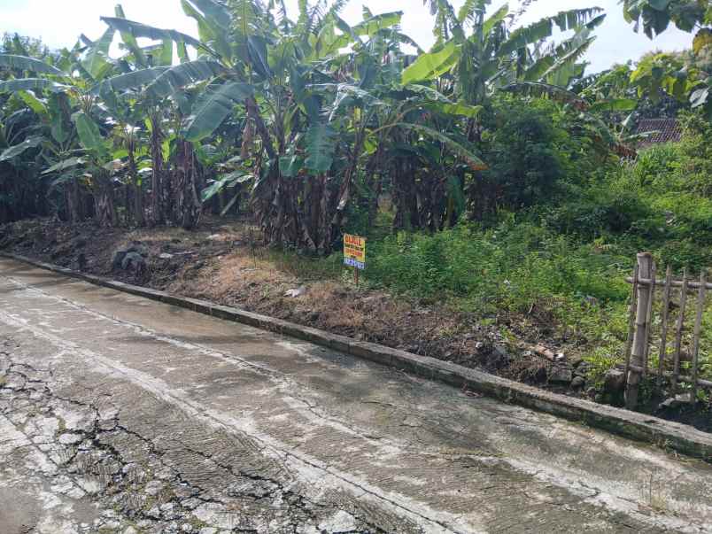 dijual tanah dijual tanah di desa