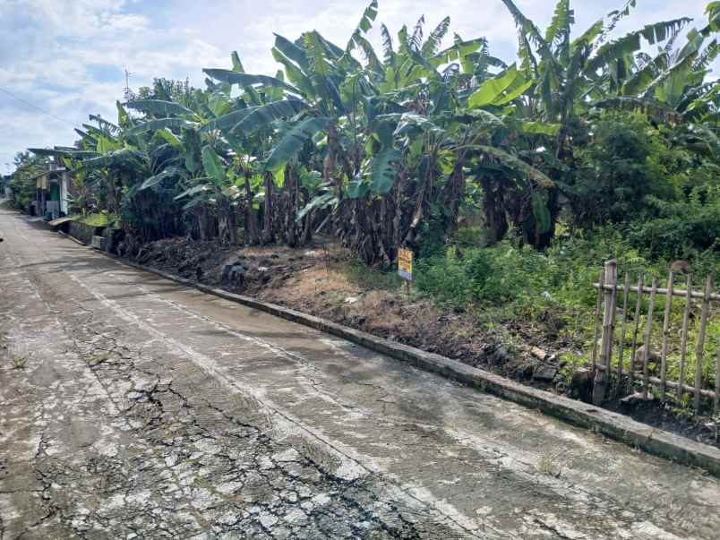 dijual tanah dijual tanah di desa