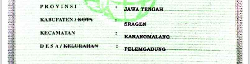 dijual tanah dijual tanah di desa