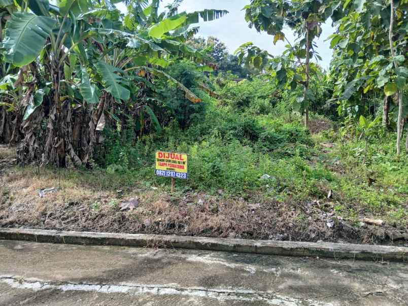 dijual tanah dijual tanah di desa
