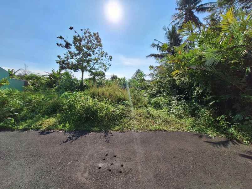 dijual tanah gading wetan donokerto