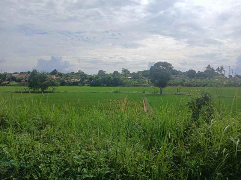 dijual tanah graha citalang permai