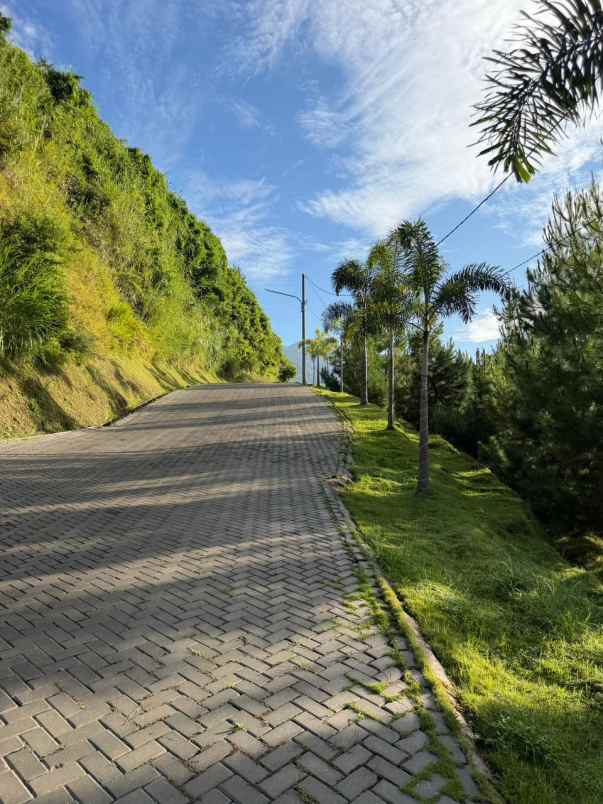 dijual tanah jalan cibolang
