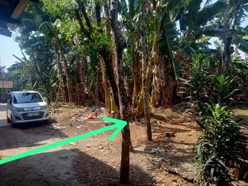 dijual tanah jalan kadupugur cikeas