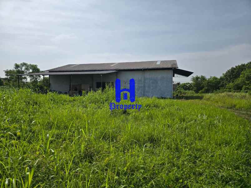 dijual tanah jalan sei mencirim jl