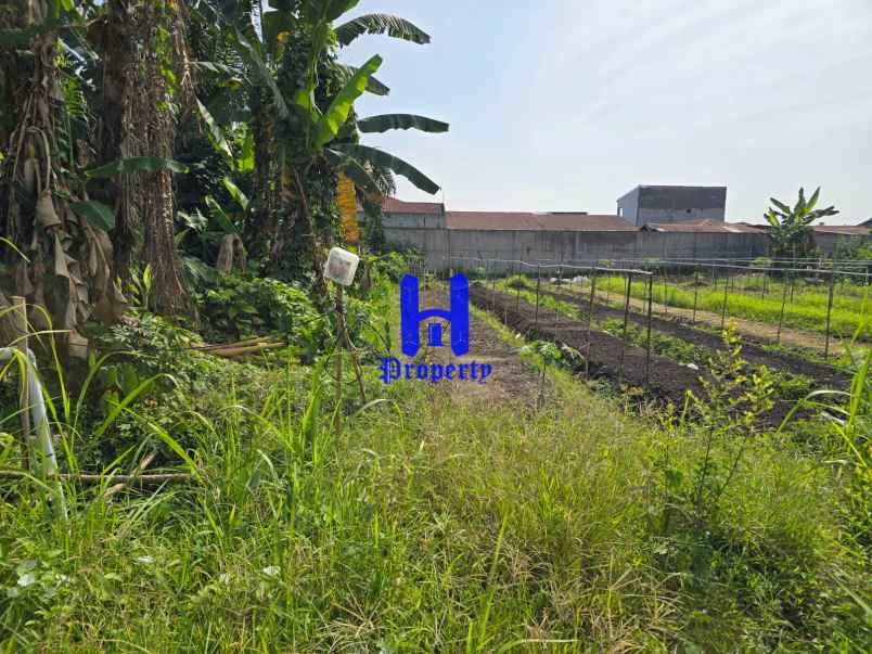 dijual tanah jalan sei mencirim jl