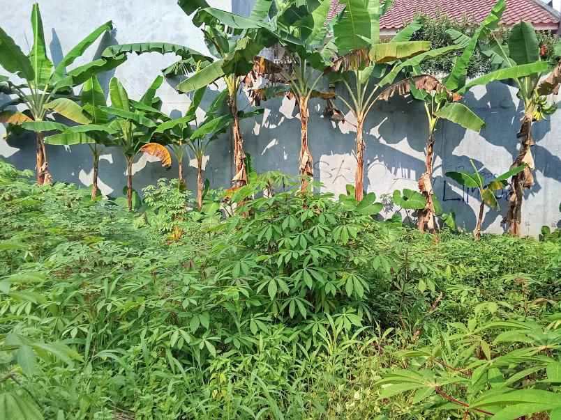 dijual tanah jl bukit barisan limo