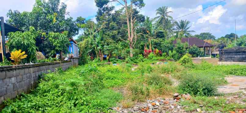 dijual tanah jl denpasar singaraja mengwi badung bali