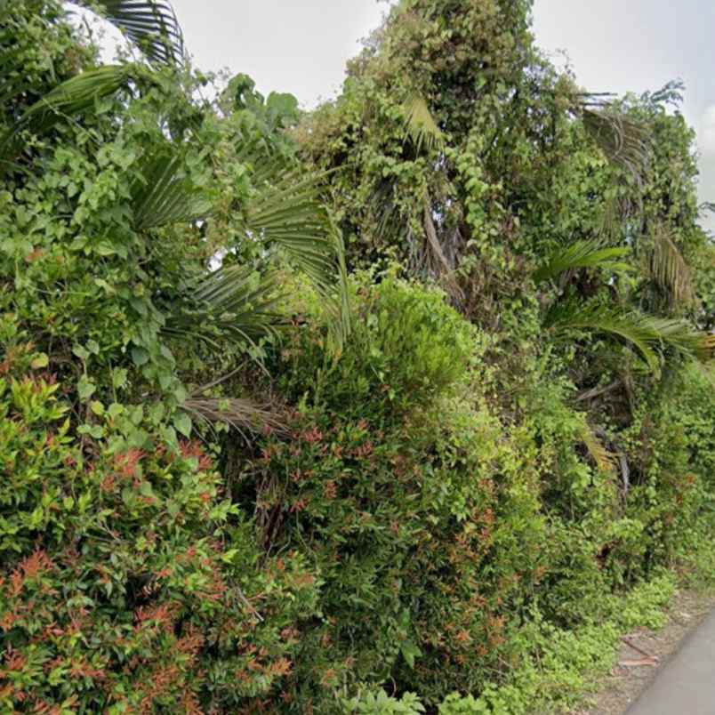 dijual tanah jl jantuk angs