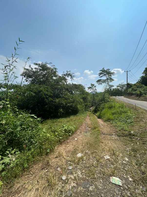 dijual tanah jl proyek kp leungsir ds