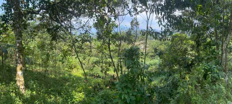 dijual tanah jl proyek kp leungsir ds