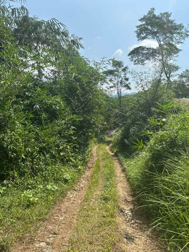 dijual tanah jl proyek kp leungsir ds