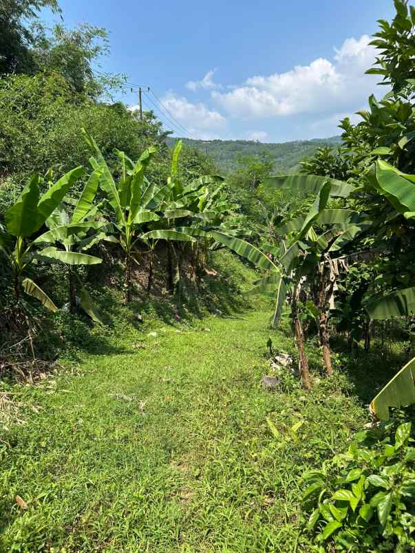 dijual tanah jl proyek kp leungsir ds