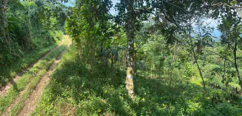 dijual tanah jl proyek kp leungsir ds