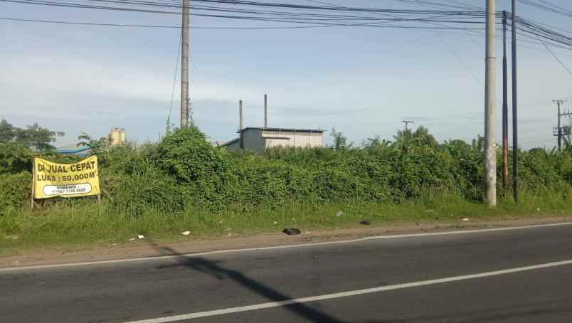 dijual tanah jl raya dengklok