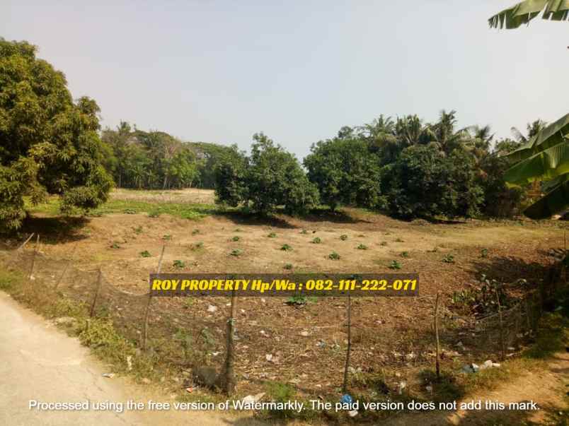 dijual tanah jl raya pakis jaya desa