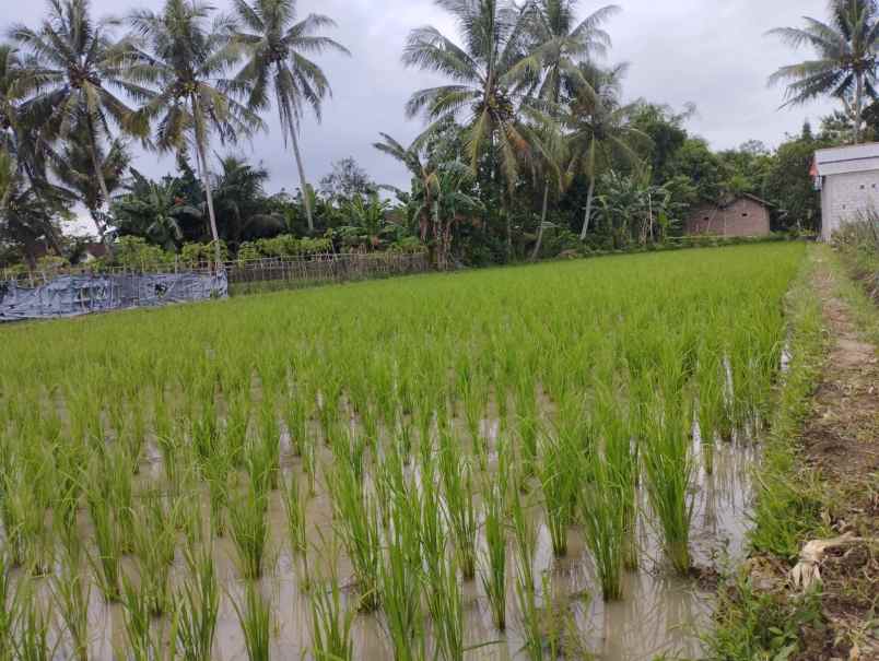 dijual tanah jl soekarno hatta sawitan