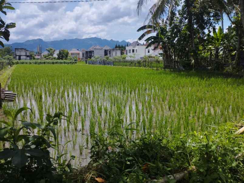 dijual tanah jl soekarno hatta sawitan