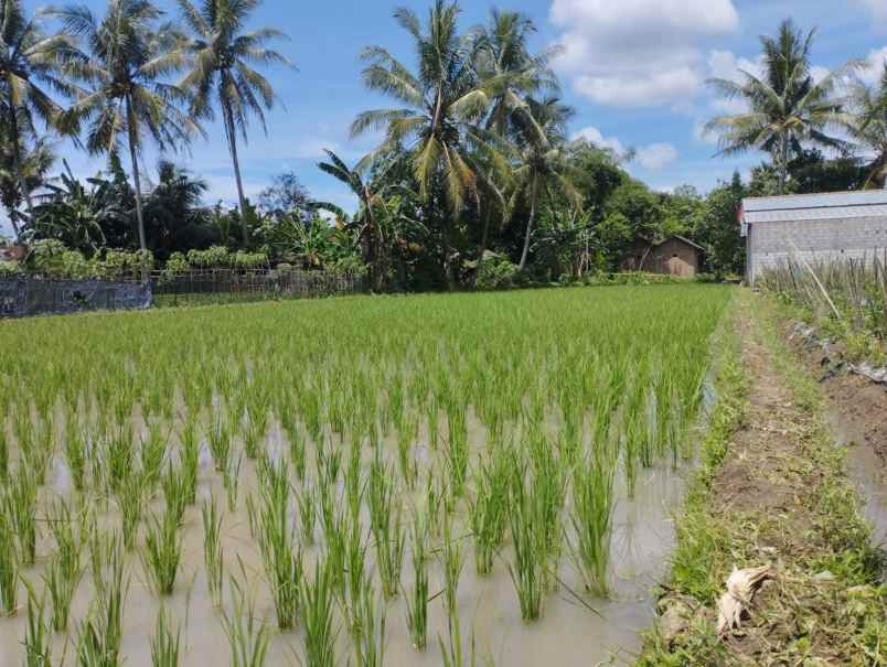 dijual tanah jl soekarno hatta sawitan