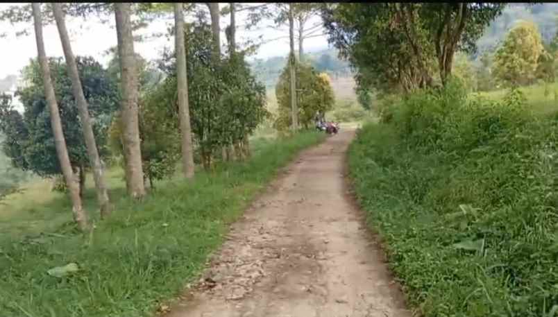 dijual tanah jl tajur halang