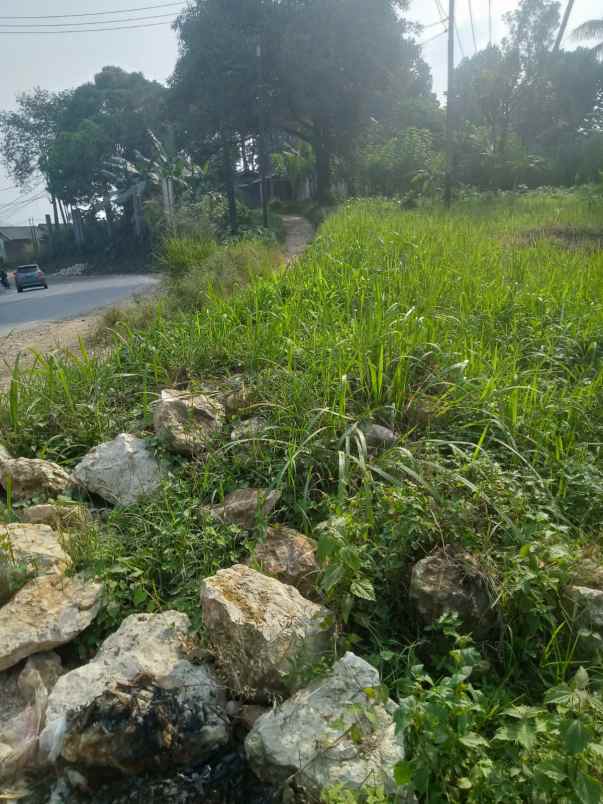 dijual tanah jln nasional iii pamucatan