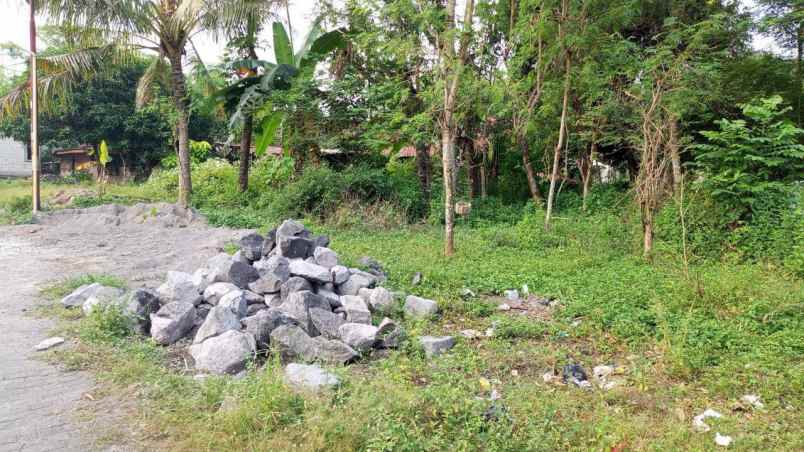 dijual tanah kalasan sleman yogyakarta