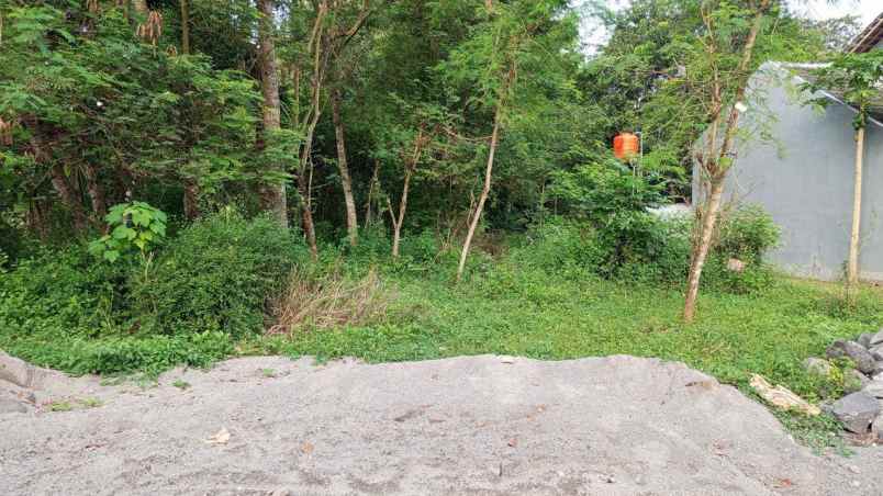 dijual tanah kalasan sleman yogyakarta