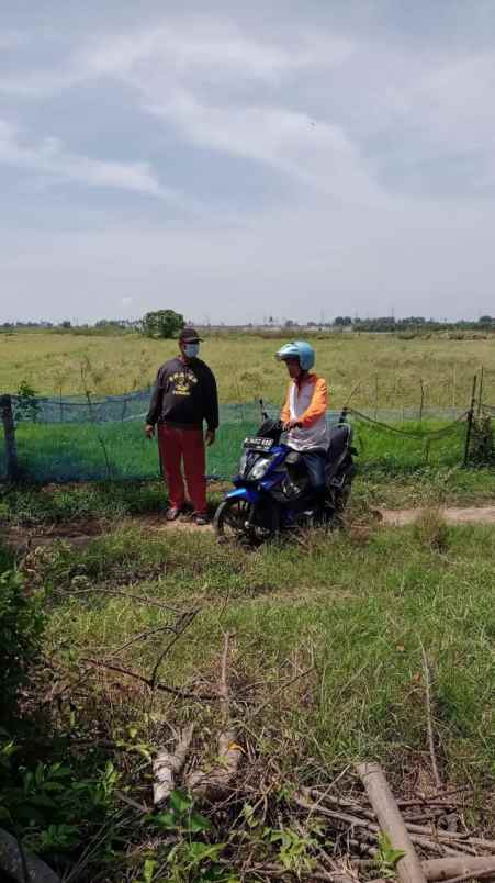 dijual tanah kampung pangkalan desa