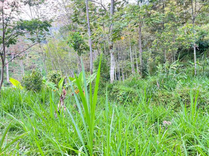 dijual tanah karanganyar