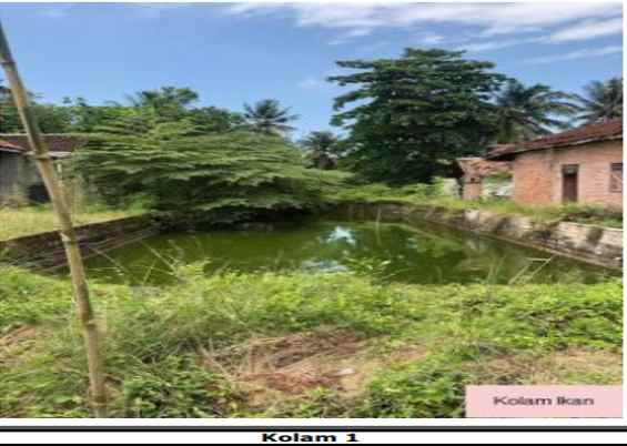 dijual tanah karya tani dusun 8