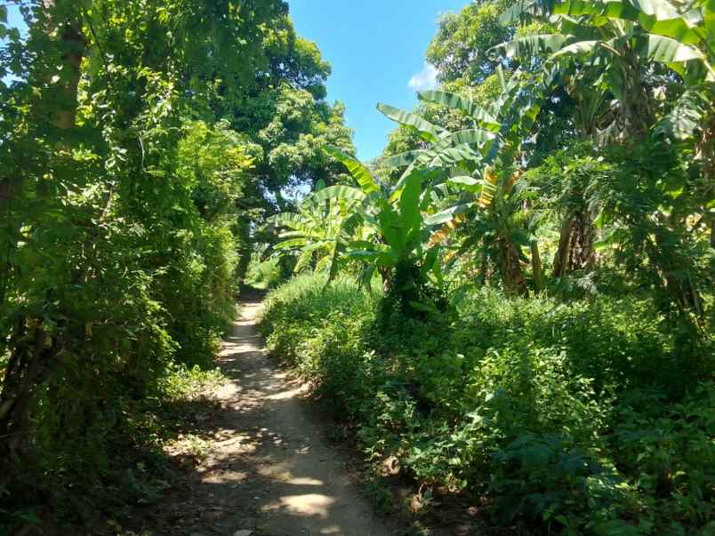 dijual tanah kawasan industri depan