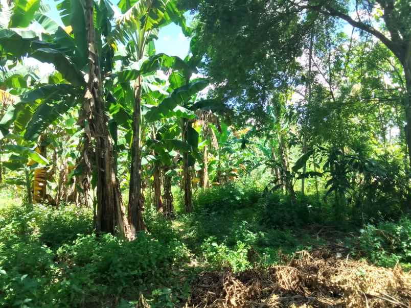 dijual tanah kawasan industri depan