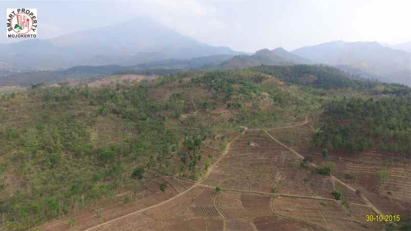 dijual tanah kawasan wisata pacet mojokerto