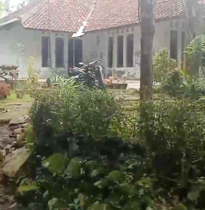 dijual tanah kebun lingkungan penduduk