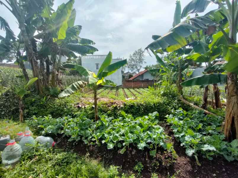 dijual tanah kec parongpong