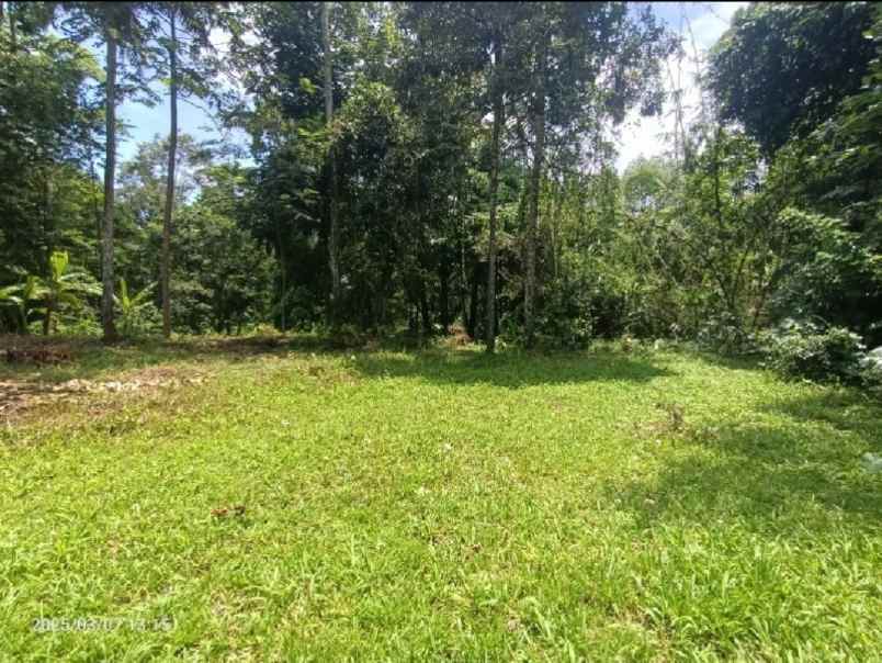 dijual tanah kenderan gianyar bali