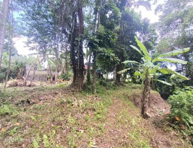 dijual tanah kenderan gianyar bali