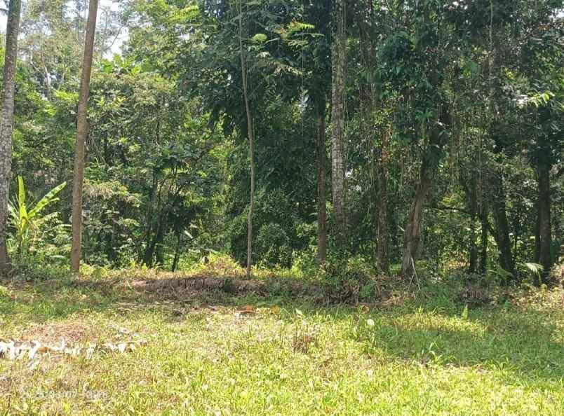 dijual tanah kenderan gianyar bali