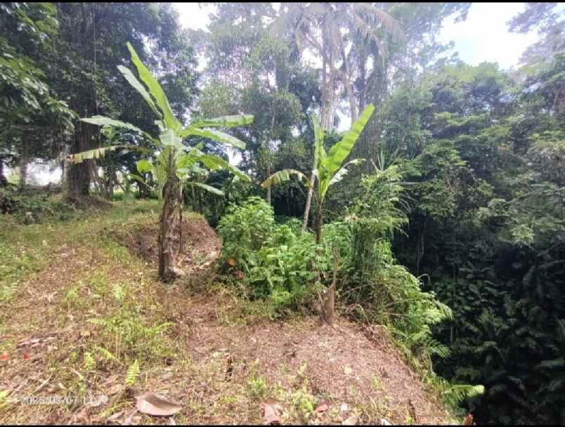 dijual tanah kenderan gianyar bali