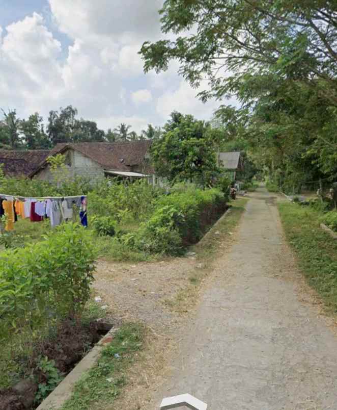 dijual tanah klatakan tanggul jember