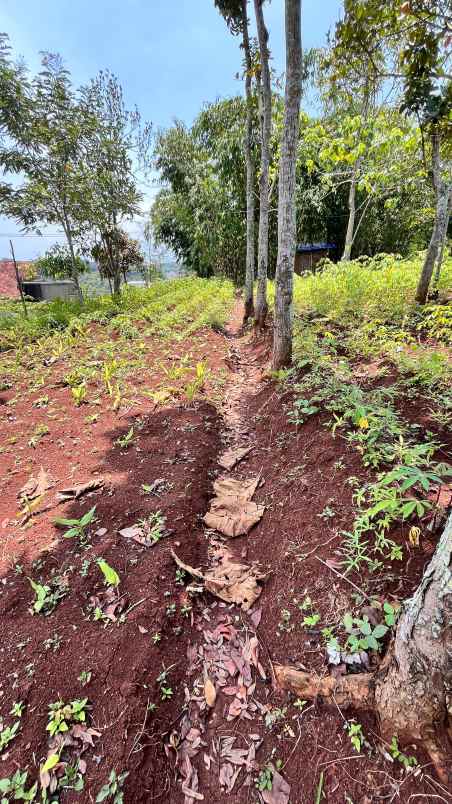 dijual tanah kp bunisari